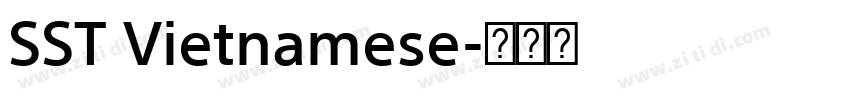 SST Vietnamese字体转换
